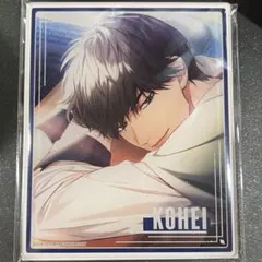 オトメイト SympathyKiss シンキス アクブロ AGF 康平