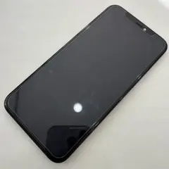 【ジャンク】iPhone 11 取り外しパネル 液漏れ 部品取り用