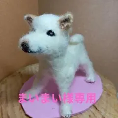 まいまい様専用　白柴　羊毛フェルトフィギュア