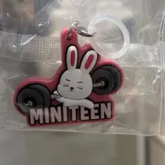 ミニティーン　MINITEEN めじるしアクセサリー　エスクプス