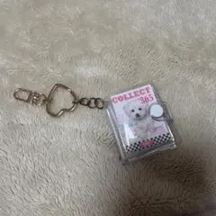 Item thumbnail for item 860ee926-55d3-4aec-8926-0652a6a04826