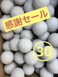 新品・未使用　中村紀洋　電動バッティングマシーン フルスイング 新品・未使用 中村紀洋 電動バッティングマシーン フルスイング