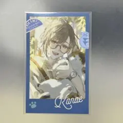 ChroNoiR Blue Memories 叶 ランダムチェキ風カード