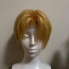 エクスアルビオ　コスプレ　セット済み　にじさんじ　完成ウィッグ Amazon.co.jp: [ワンワンワン] エクス・アルビオ コスプレ衣装