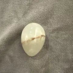 オニキス　クリーム色　卵型石　天然石