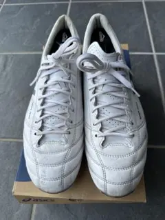 2025年最新】ds light x fly 4の人気アイテム - メルカリ