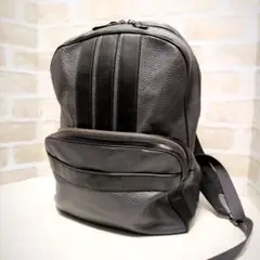 ★Coach【コーチ】F56667 リュックサッ/バックパック グレー系 美品