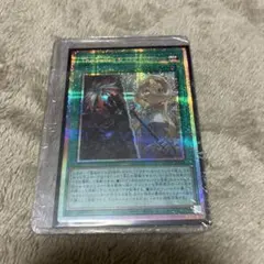 本格構築 閃刀姫 デッキ The Fallen & The Virtuous 本格構築 閃刀姫デッキ The Fallen & The Virtuous ②