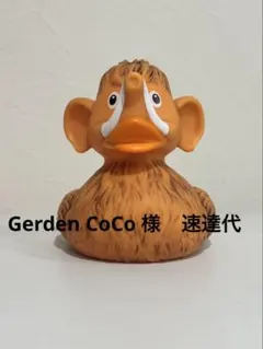 Gerden CoCo 様　速達代