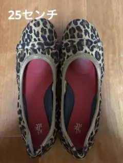KIBERA ヒョウ柄 フラットシューズ　25cm （普通幅）