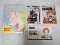 ハイキュー ファンパーク 日向翔陽