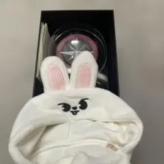 2026年最新】straykids ペンライトカバー ver.2の人気アイテム - メルカリ