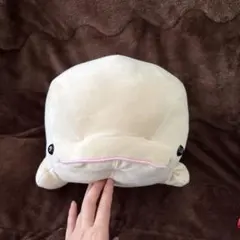 Item thumbnail for item 3b6203dc-08c0-49f2-a953-d11bee564890