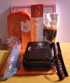 お値下‼️AAA DOME TOUR 15th Nissyグッズ９点セット