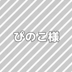 ぴのこ様専用ページ