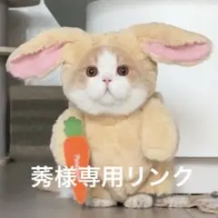 【服のみ】POPMARTスカルパンダ着せ替えぬい服