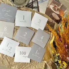 グレージュ　マンスリーカード 月齢カード ましかくサイズ くすみ 14枚set