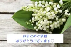 栗かのこ【購入前プロフ確認】様 リクエスト 2点 まとめ商品