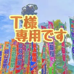 T様 専用です✩.*˚