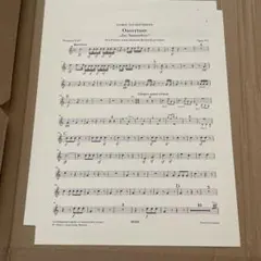 Item thumbnail for item e8588872-0770-4650-979d-5b57eb7d229e