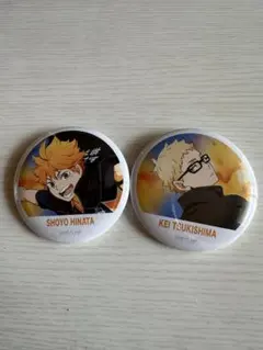 ハイキュー 缶バッチコレクョン 横断幕 日向翔陽 月島蛍