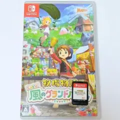 Switch 牧場物語 Let's!風のグランドバザール
