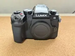 LUMIX G99M2 本体【動作確認済】