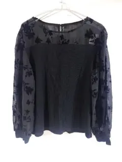 大きいサイズ ブラック フラワー刺繍 シースルー袖 トップス 4L