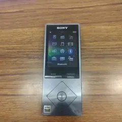 Item thumbnail for item 092ebf5e-1e05-4e57-a9f8-fc19fb1b6c3c