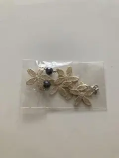 Item thumbnail for item a4009ca9-b686-4a9f-9ab5-092ec1930d1a