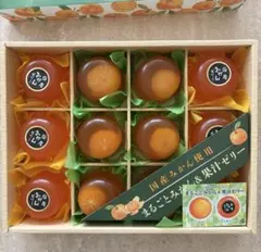 まるごとみかん &果汁ゼリー　12個入りのサムネイル