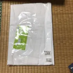 Item thumbnail for item 09e44d16-ff4f-4fed-997f-b0349757d8ee