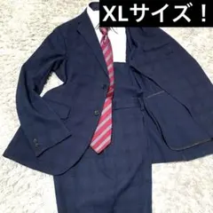 大きいサイズ！ビューティー&ユース　RIRANCHA セットアップ　高機能　XL