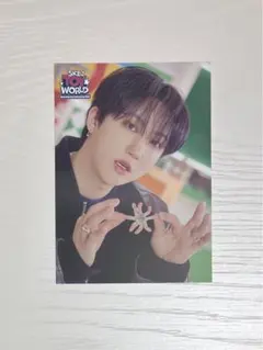 straykids スキズ チャンビン トイワールド ラントレ ①