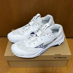 大人気！全日本 宮浦健人選手着用 新製品MIZUNO ネオジャンプ26.0