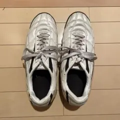 ゴルフ シューズ メンズ