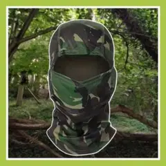 Item thumbnail for item 2c657619-4a2d-43cc-88ed-9fa06a6305b0