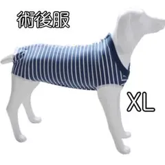 Item thumbnail for item 8c7979a1-1950-4654-ac55-1ee7d45ca602