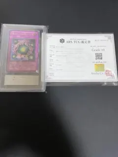 遊戯王 魔のデッキ破壊ウイルス ARS10 アルティメットレア 旧レリーフ