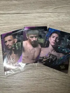 Item thumbnail for item 89aba596-6524-4df0-89e8-25c38a026df3