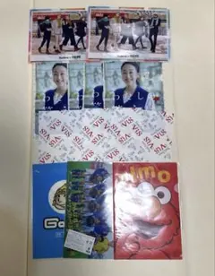 【新品未使用】12枚セット　まとめ売り ファイル　色々ファイル A4ファイル