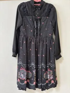 目立った傷や汚れなし、フランシュリッべユキエモン、ペタペタコート。難あり。 目立った傷や汚れなし、フランシュリッべユキエモン、ペタペタコート