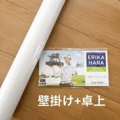 Item thumbnail for item 4340083a-44e6-43c2-8525-23a55ff8c9af