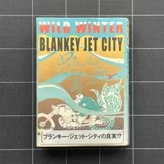 2026年最新】blankey jet city wild winterの人気アイテム - メルカリ
