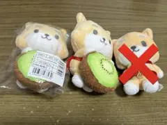 2026年最新】まめちぃ（豆原一成）の人気アイテム - メルカリ