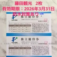 藤田観光 株主優待券 2枚セット