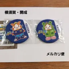 横浜DeNAベイスターズ ご当地DB.スターマン 缶バッジ 横須賀市 - メルカリ