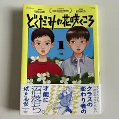 どくだみの花のさくころ 1巻 講談社