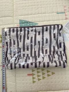 Item thumbnail for item 1306564d-108c-4a58-8b97-8d391ed860b4