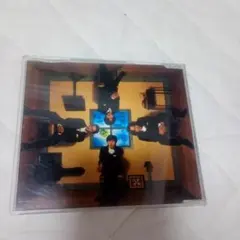 FIELD OF VIEW Beautiful day CD